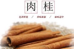 鹵菜肉桂能代替桂皮嗎